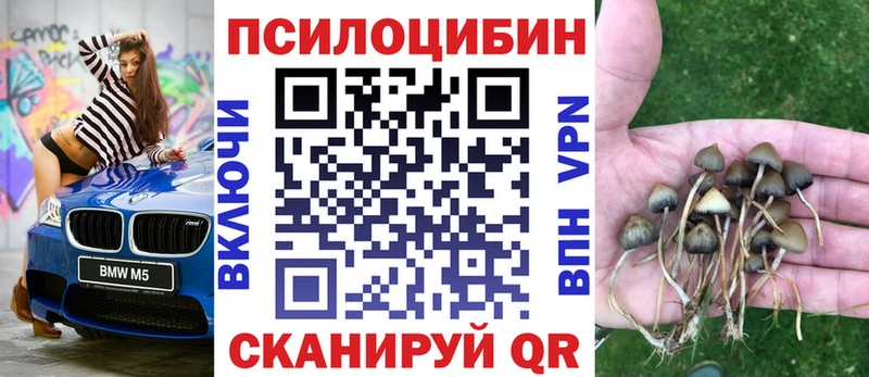 купить наркоту Салаир Галлюциногенные грибы GOLDEN TEACHER